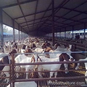 Bâtiment agricole de la ferme des moutons en acier